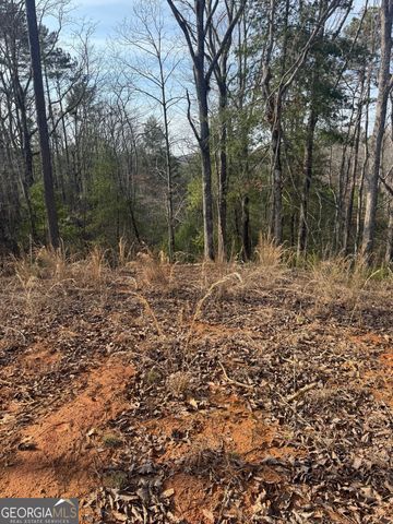 208 Lake Forest Drive, Ellijay, GA 30540