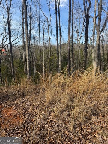208 Lake Forest Drive, Ellijay, GA 30540