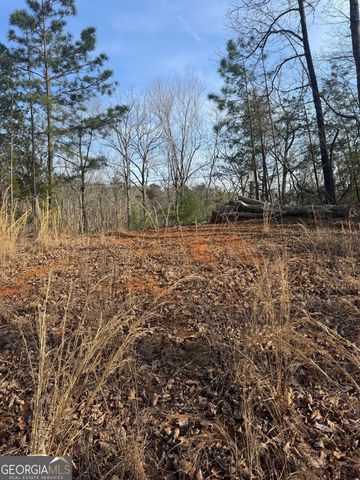 208 Lake Forest Drive, Ellijay, GA 30540