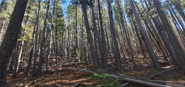 Lot 2682 & 2683 Purnell Lane, Fort Garland, CO 81133