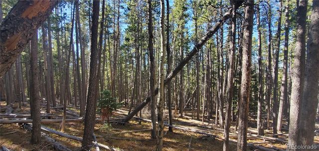 Lot 2682 & 2683 Purnell Lane, Fort Garland, CO 81133