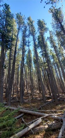 Lot 2682 & 2683 Purnell Lane, Fort Garland, CO 81133