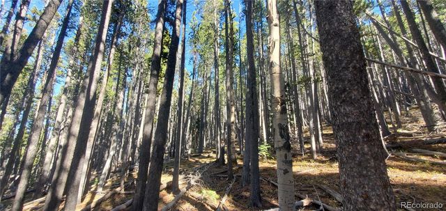 Lot 2682 & 2683 Purnell Lane, Fort Garland, CO 81133