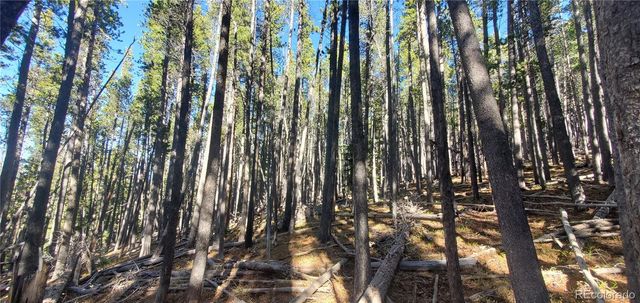 Lot 2682 & 2683 Purnell Lane, Fort Garland, CO 81133