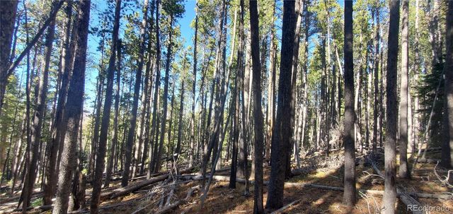 Lot 2682 & 2683 Purnell Lane, Fort Garland, CO 81133