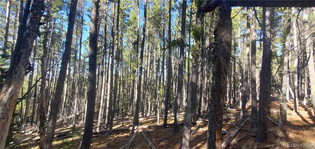 Lot 2682 & 2683 Purnell Lane, Fort Garland, CO 81133