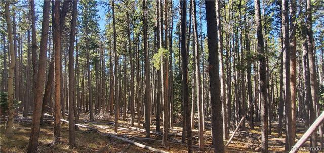 Lot 2682 & 2683 Purnell Lane, Fort Garland, CO 81133