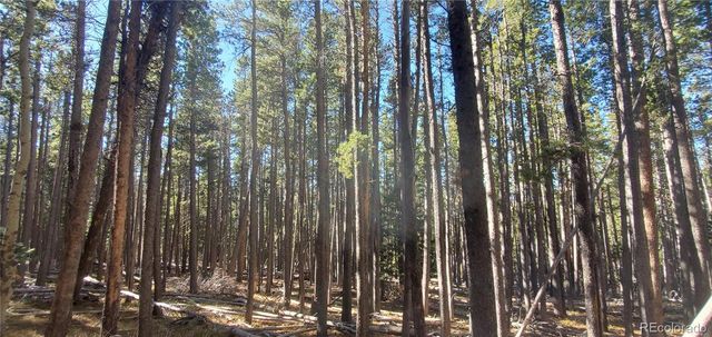 Lot 2682 & 2683 Purnell Lane, Fort Garland, CO 81133