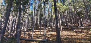 Lot 2682 & 2683 Purnell Lane, Fort Garland, CO 81133