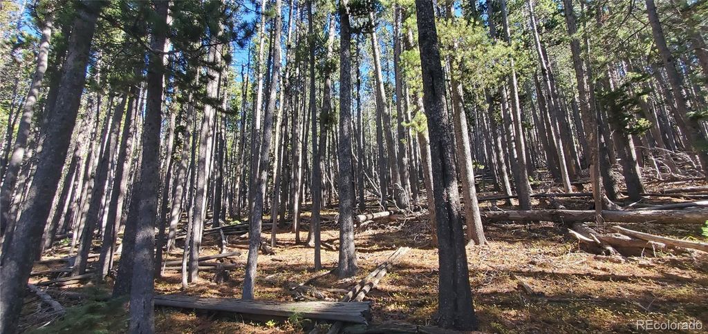 Lot 2682 & 2683 Purnell Lane, Fort Garland, CO 81133