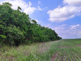 TBD FM 3061, Thorndale, TX 76577
