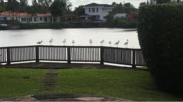 2390 NE 199th Street, Aventura, FL 33180