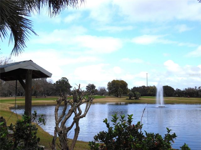 91 N BOBWHITE RD, Wildwood, FL 34785