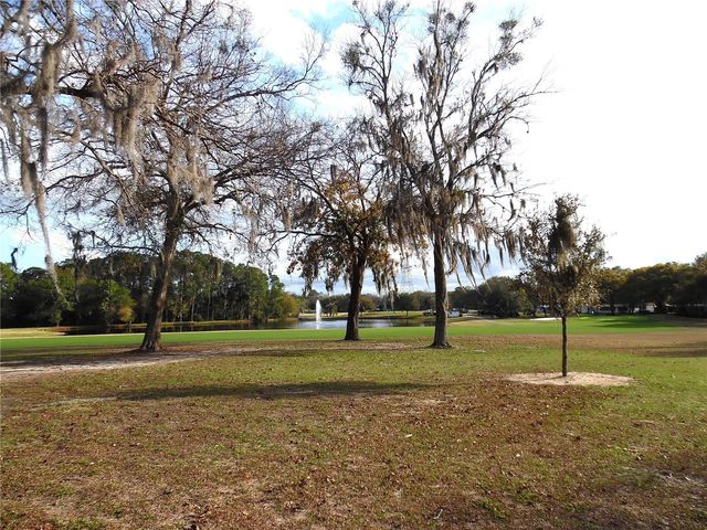 91 N BOBWHITE RD, Wildwood, FL 34785