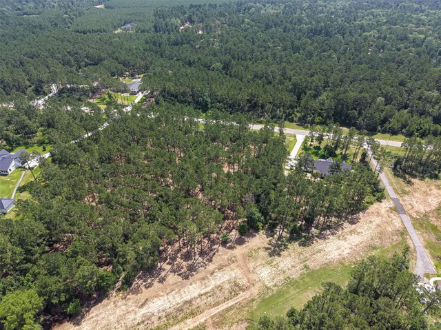 15631 Forest Grove Drive, Willis, TX 77378