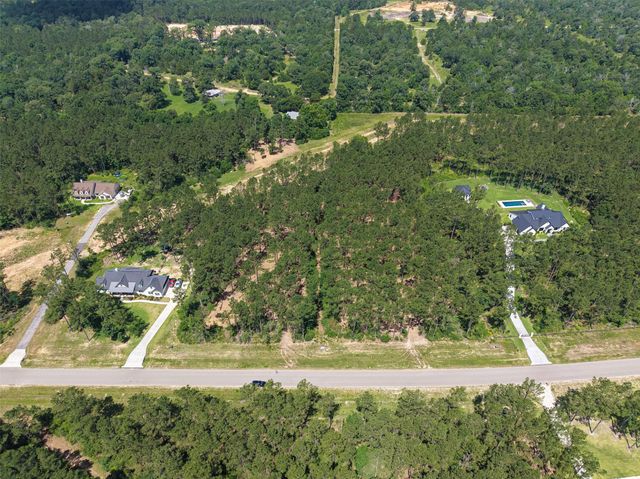 15631 Forest Grove Drive, Willis, TX 77378