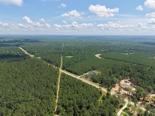 15631 Forest Grove Drive, Willis, TX 77378