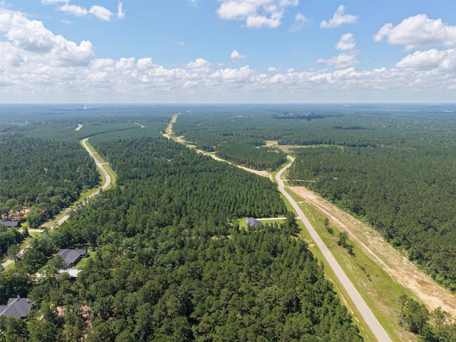 15631 Forest Grove Drive, Willis, TX 77378