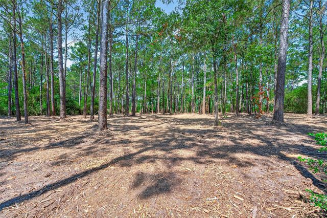 15631 Forest Grove Drive, Willis, TX 77378