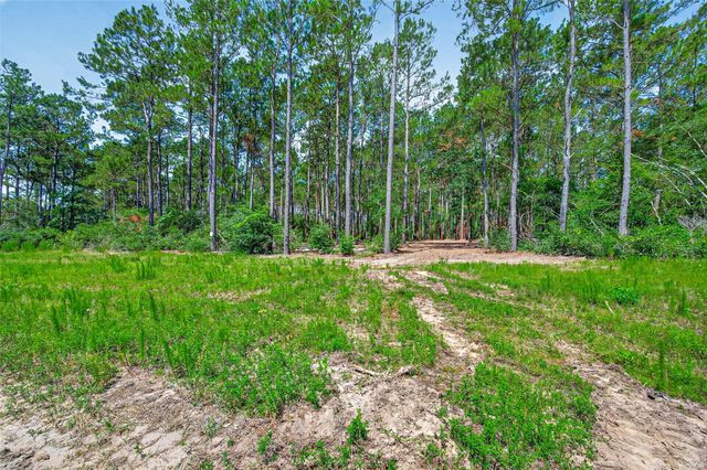 15631 Forest Grove Drive, Willis, TX 77378