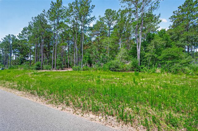15631 Forest Grove Drive, Willis, TX 77378