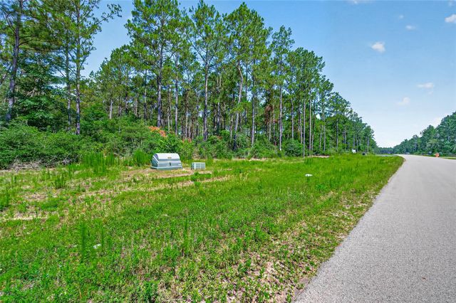 15631 Forest Grove Drive, Willis, TX 77378