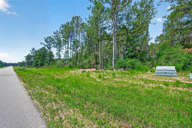 15631 Forest Grove Drive, Willis, TX 77378