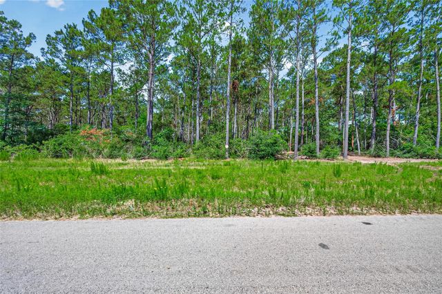15631 Forest Grove Drive, Willis, TX 77378
