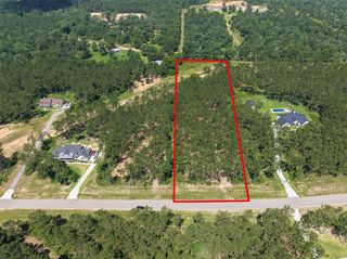 15631 Forest Grove Drive, Willis, TX 77378