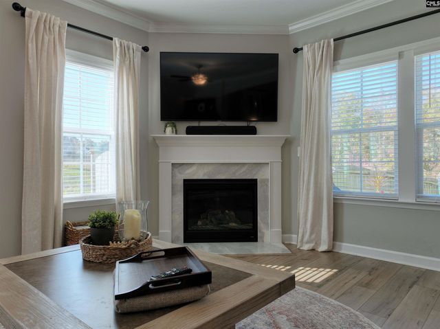 13 Botticelli Court, Chapin, SC 29036