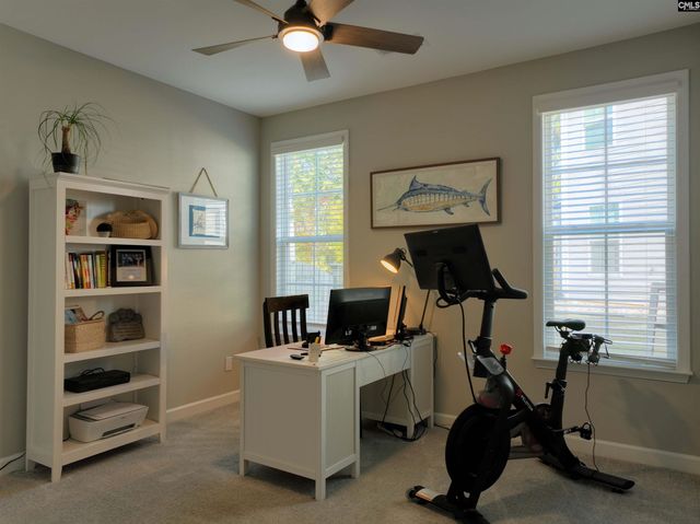 13 Botticelli Court, Chapin, SC 29036