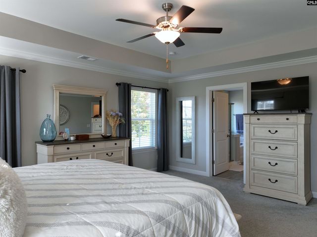 13 Botticelli Court, Chapin, SC 29036