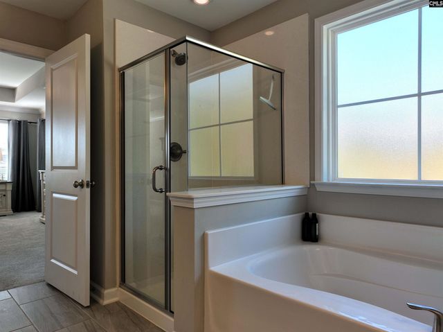 13 Botticelli Court, Chapin, SC 29036