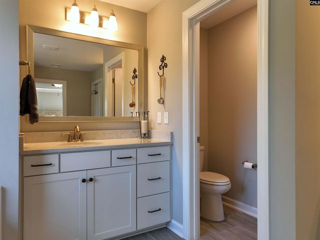 13 Botticelli Court, Chapin, SC 29036