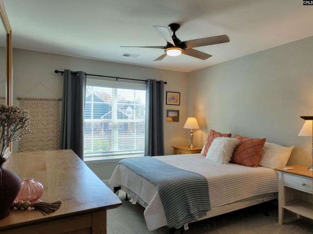 13 Botticelli Court, Chapin, SC 29036