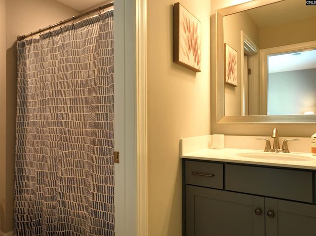 13 Botticelli Court, Chapin, SC 29036