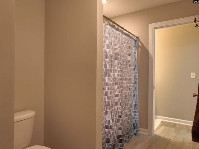 13 Botticelli Court, Chapin, SC 29036