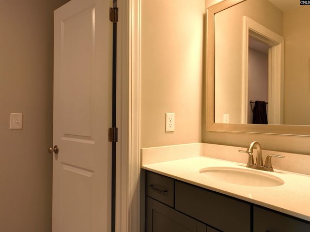 13 Botticelli Court, Chapin, SC 29036