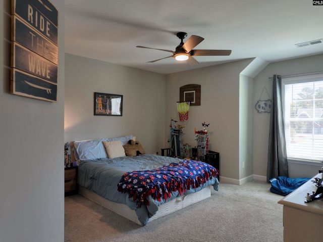 13 Botticelli Court, Chapin, SC 29036