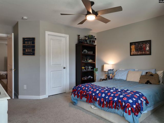 13 Botticelli Court, Chapin, SC 29036