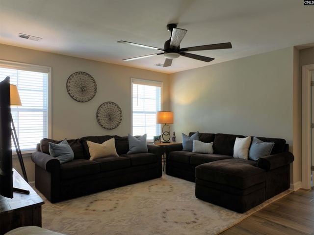 13 Botticelli Court, Chapin, SC 29036