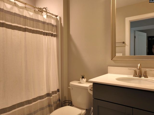 13 Botticelli Court, Chapin, SC 29036