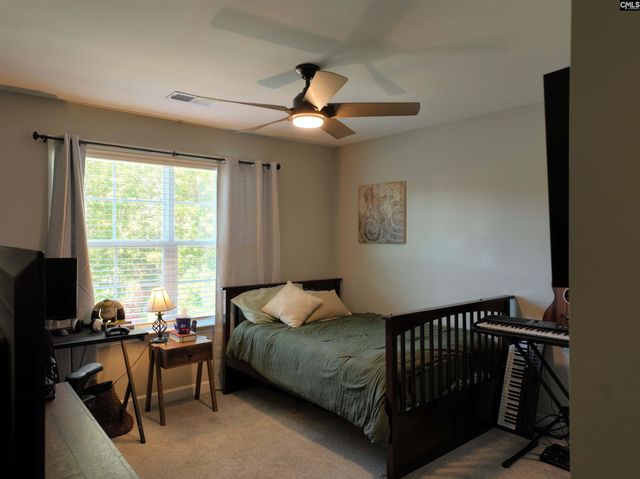 13 Botticelli Court, Chapin, SC 29036