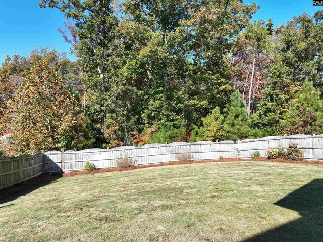 13 Botticelli Court, Chapin, SC 29036