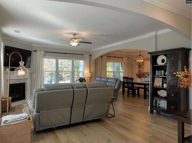 13 Botticelli Court, Chapin, SC 29036