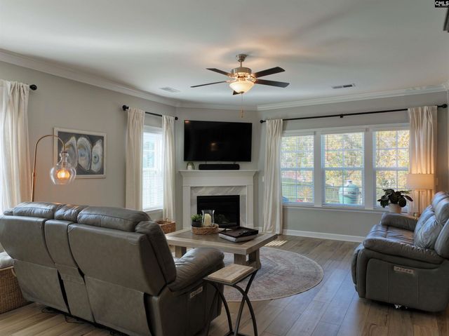 13 Botticelli Court, Chapin, SC 29036