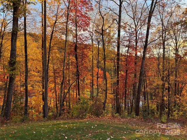 130 Charity Lane, Candler, NC 28715