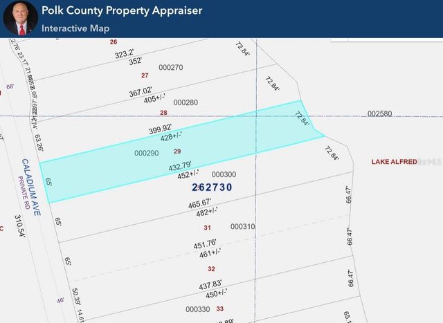 332 CALADIUM AVENUE, Lake Alfred, FL 33850