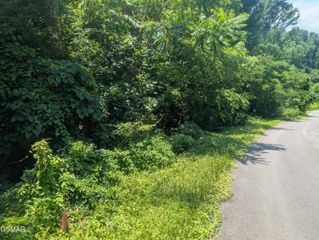 0 Beech Branch Road, Gatlinburg, TN 37738