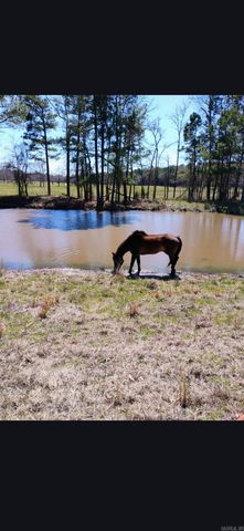 5665 N Hwy 53, Arkadelphia, AR 71923